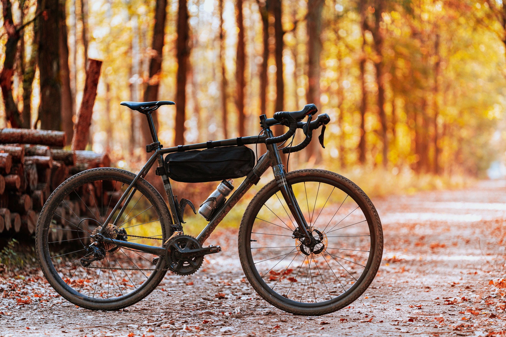 Picture of gravel bike standing on forest road in autumn