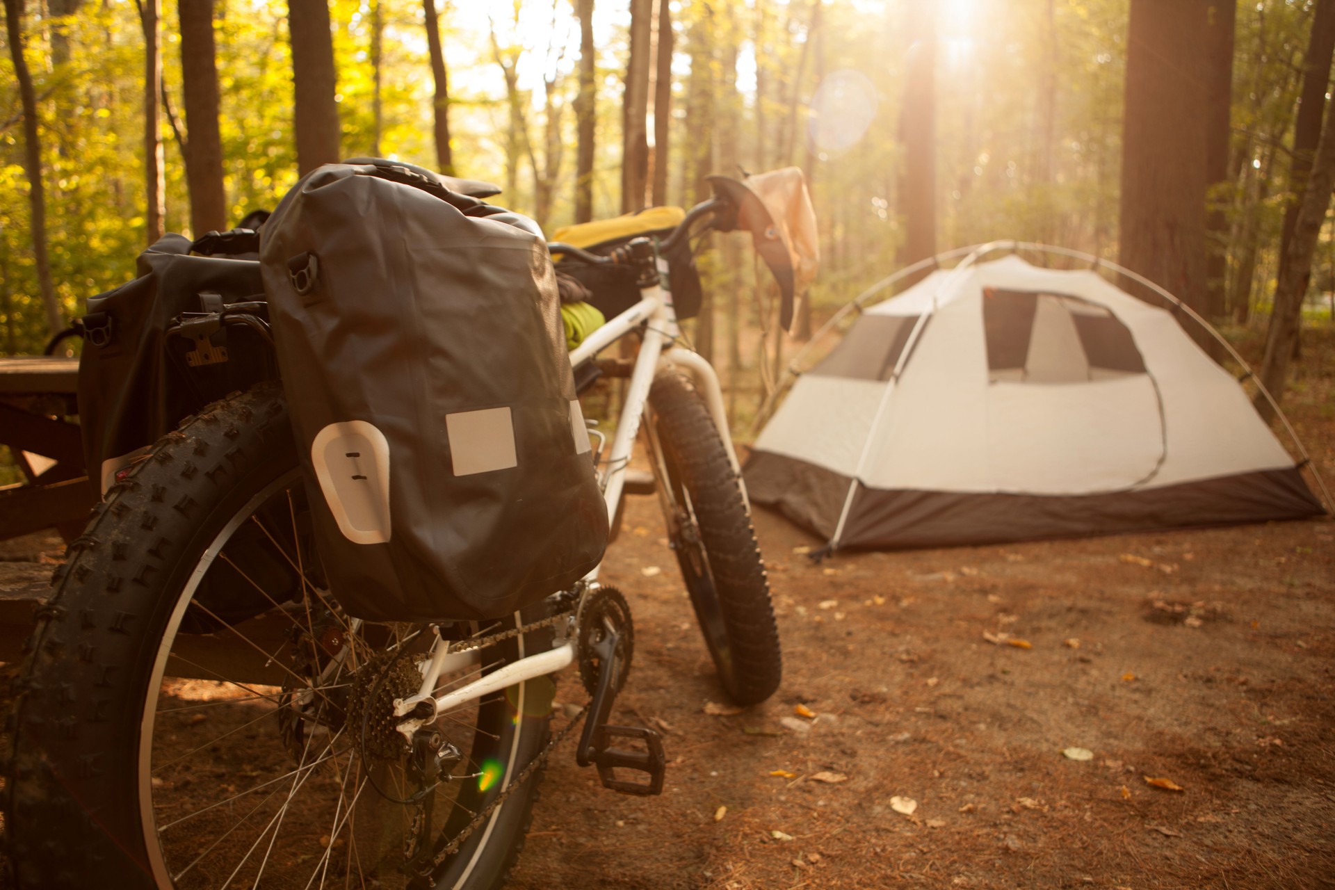 Bikepacking set up at a campsite.